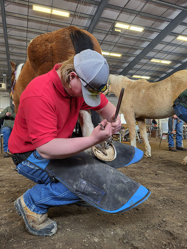 Euan Robertson (current student), trimming foot, Division 1 shoeing round