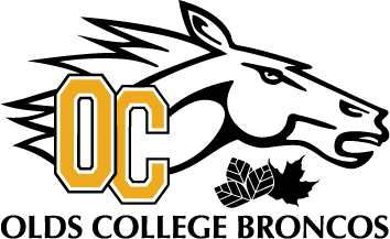 Broncos logo