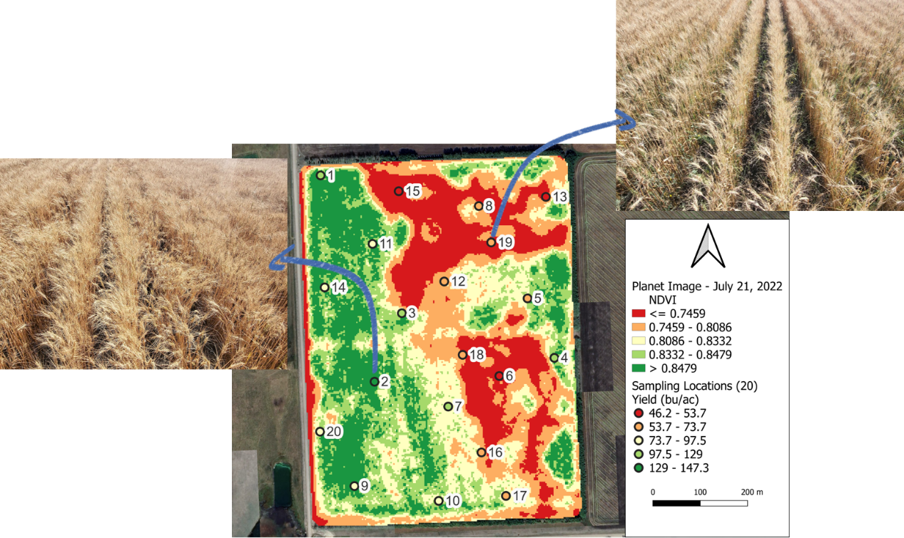 22-digitalag-forecast3.png