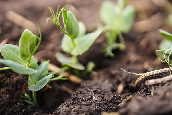 Olds College joins Canada’s Food & Agri-Tech Engine