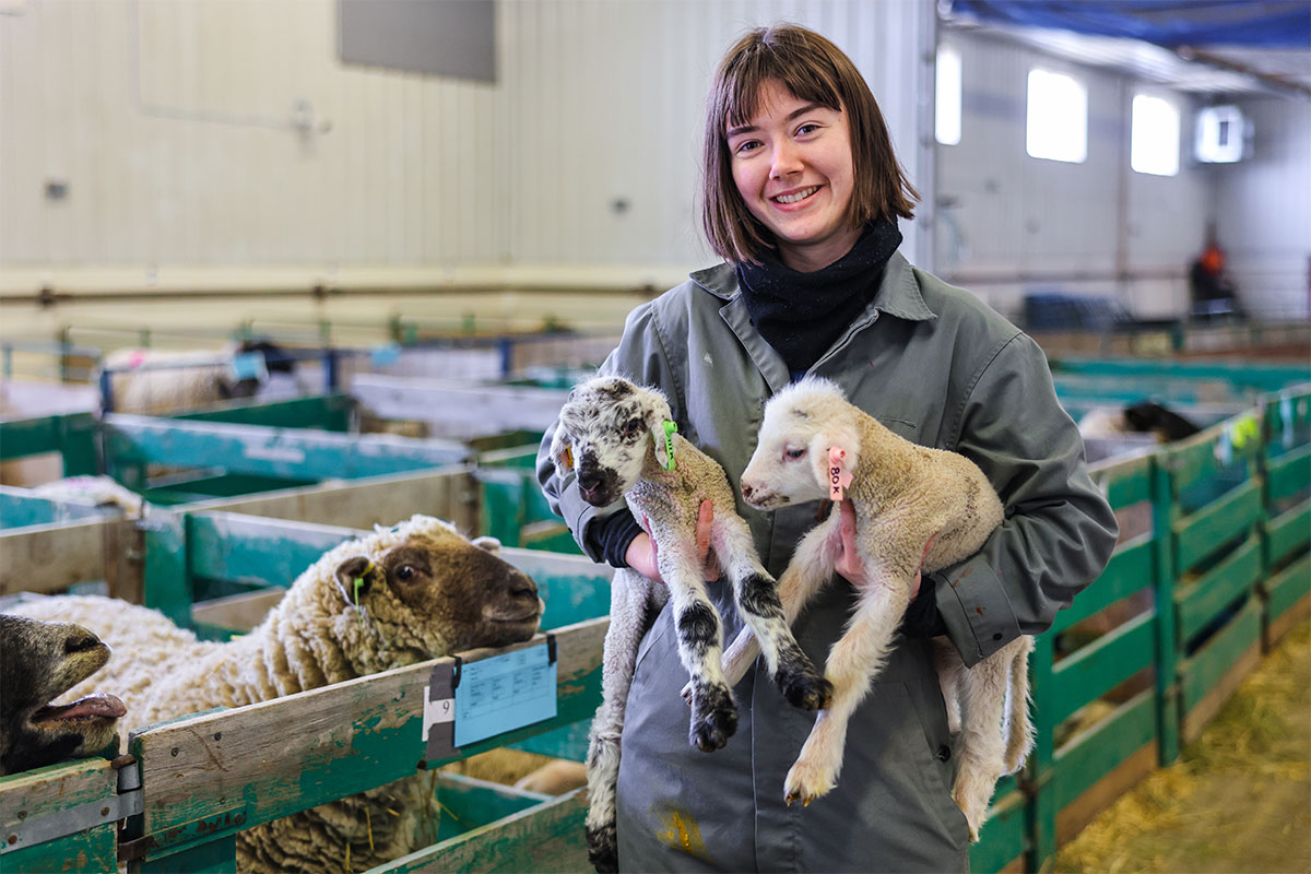 A smiling student holds two lambs  in front of a pen. Ewes keep a careful watch from inside the pen.