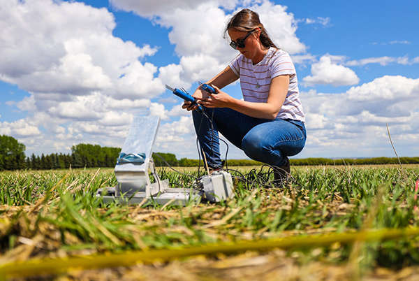 alberta-colleges-olds-soil-sensors.jpeg