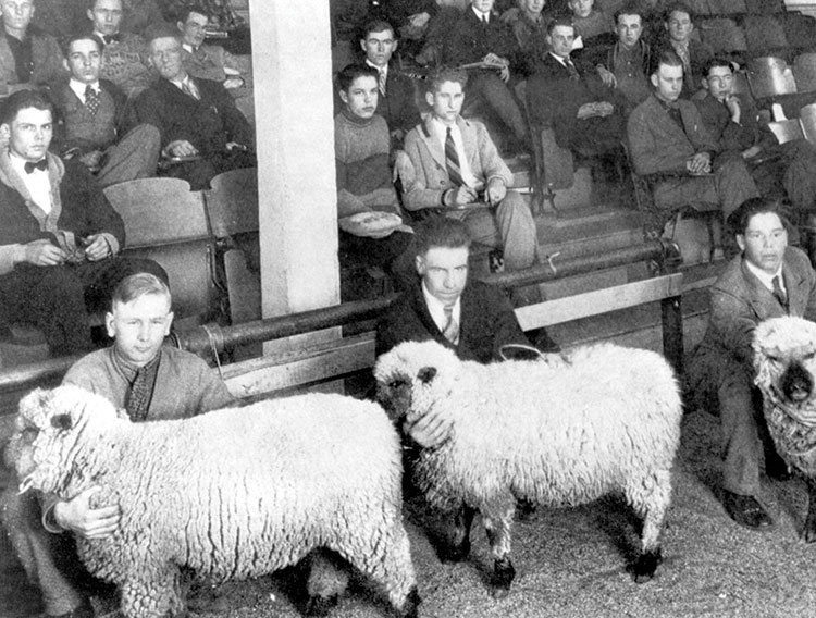 1928 Sheep Production Class