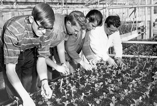 A view of the 1960 Plant Science class seeding.