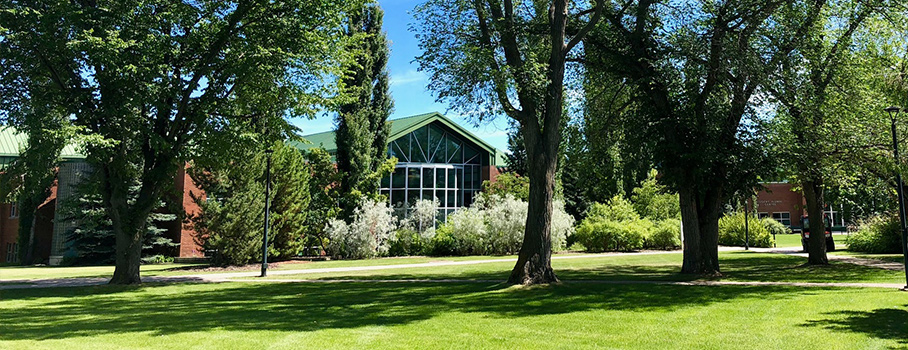 banner-lrc.jpg