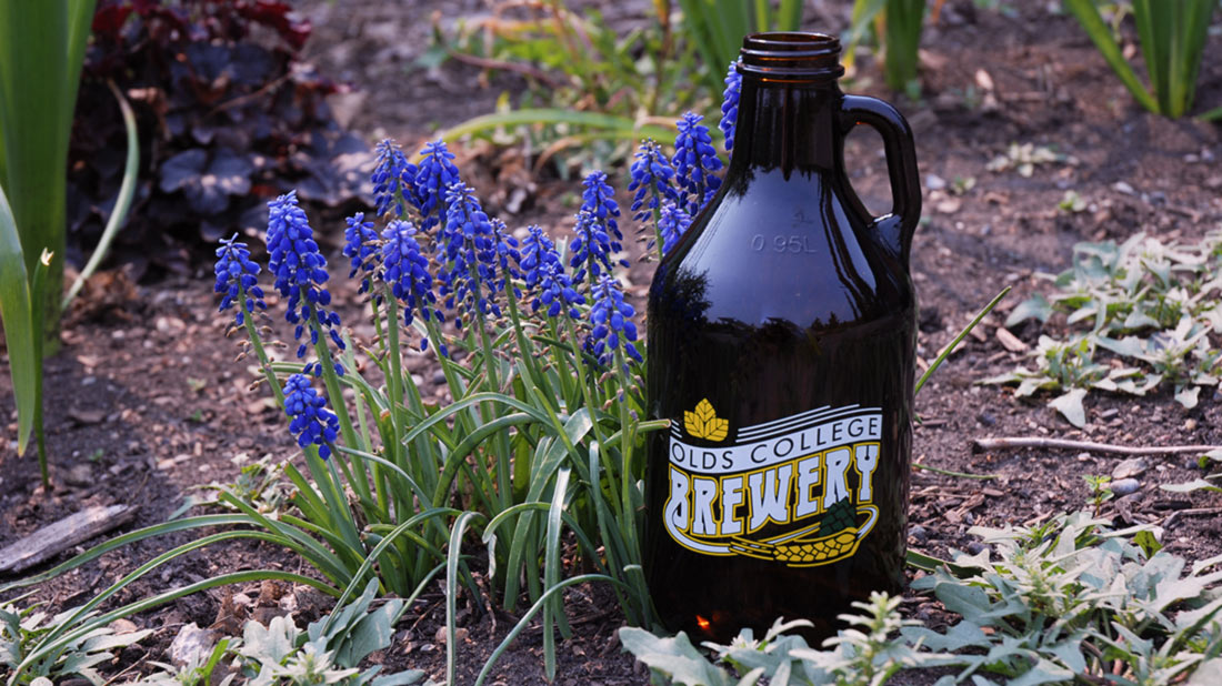 Olds College Brewery Will Capture CO2 to Reduce Emissions