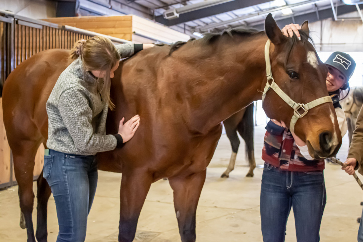 banner_coned_equinefirstaid.jpg