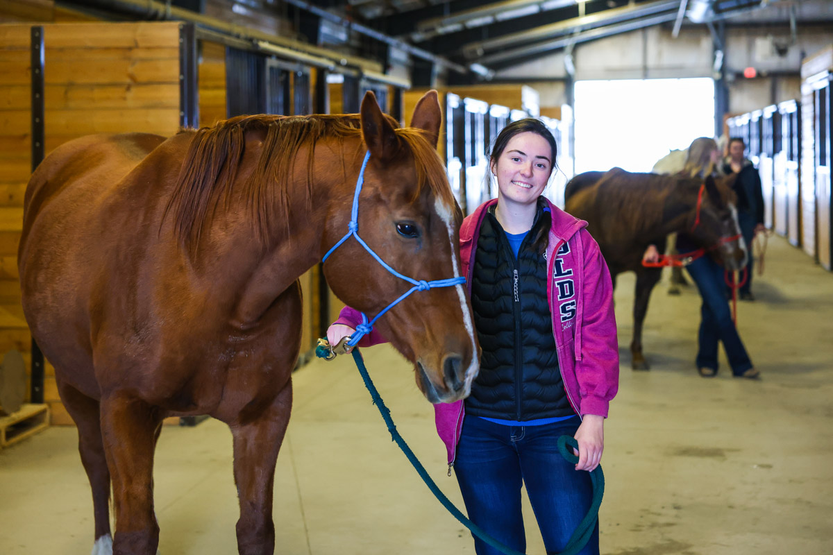 Equine Massage Therapy Certificate