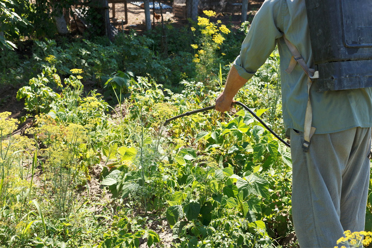 Pesticide Applicator Recertification