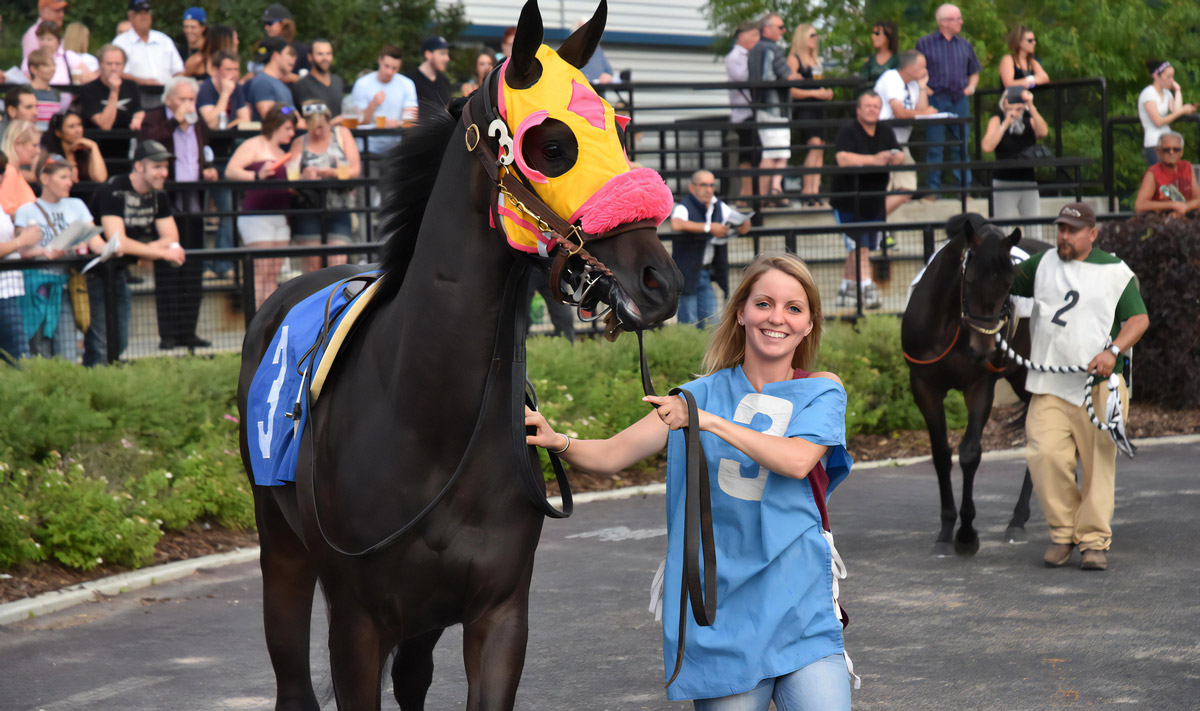 Professional Racetrack Groom Course