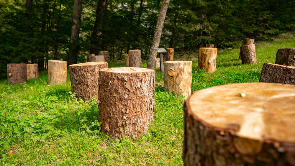 Stump Treatment Pesticide Certificate Tutorial