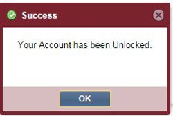 Unlock Success Screenshot