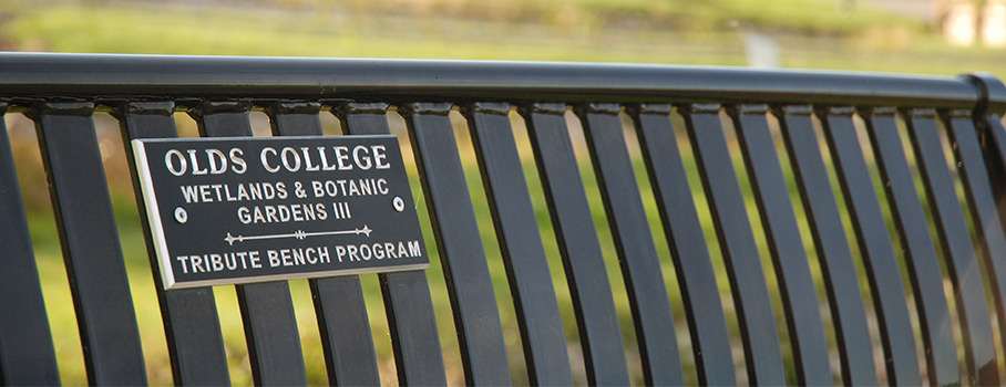 Olds College Tribute Bench 