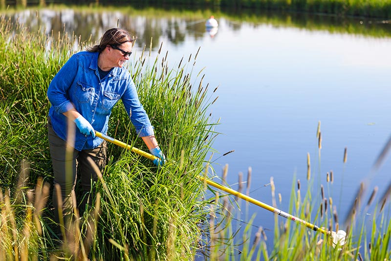 environmental stewardship