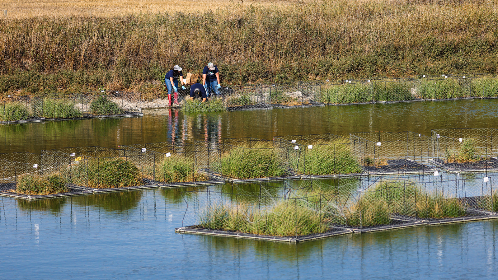 environmental stewardship