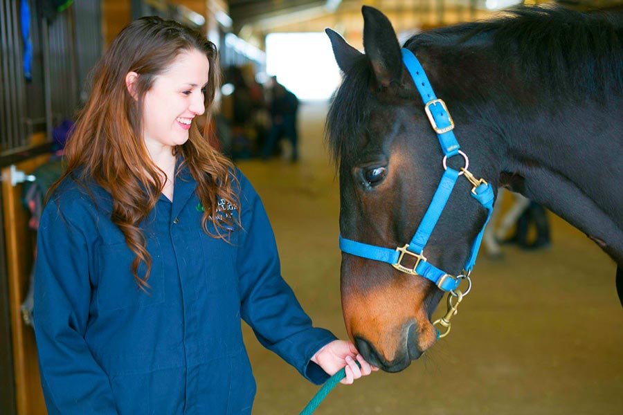 Equine Programs