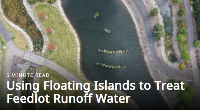 floating-islands.jpeg