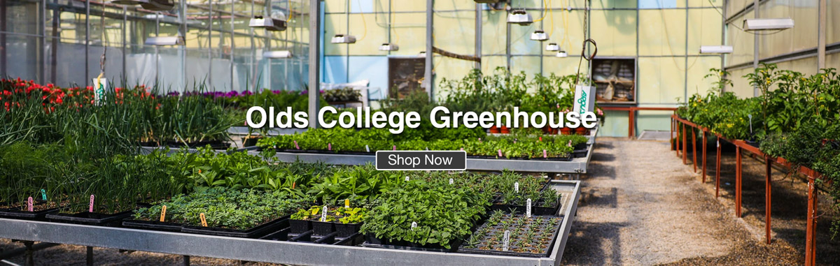 greenouse_img.jpg