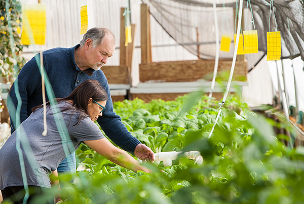 Alberta Colleges & Polytechnics Create Agriculture and Food Research Collaborative