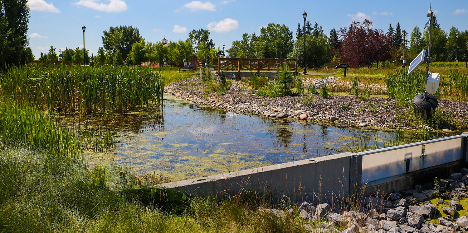 wetlands