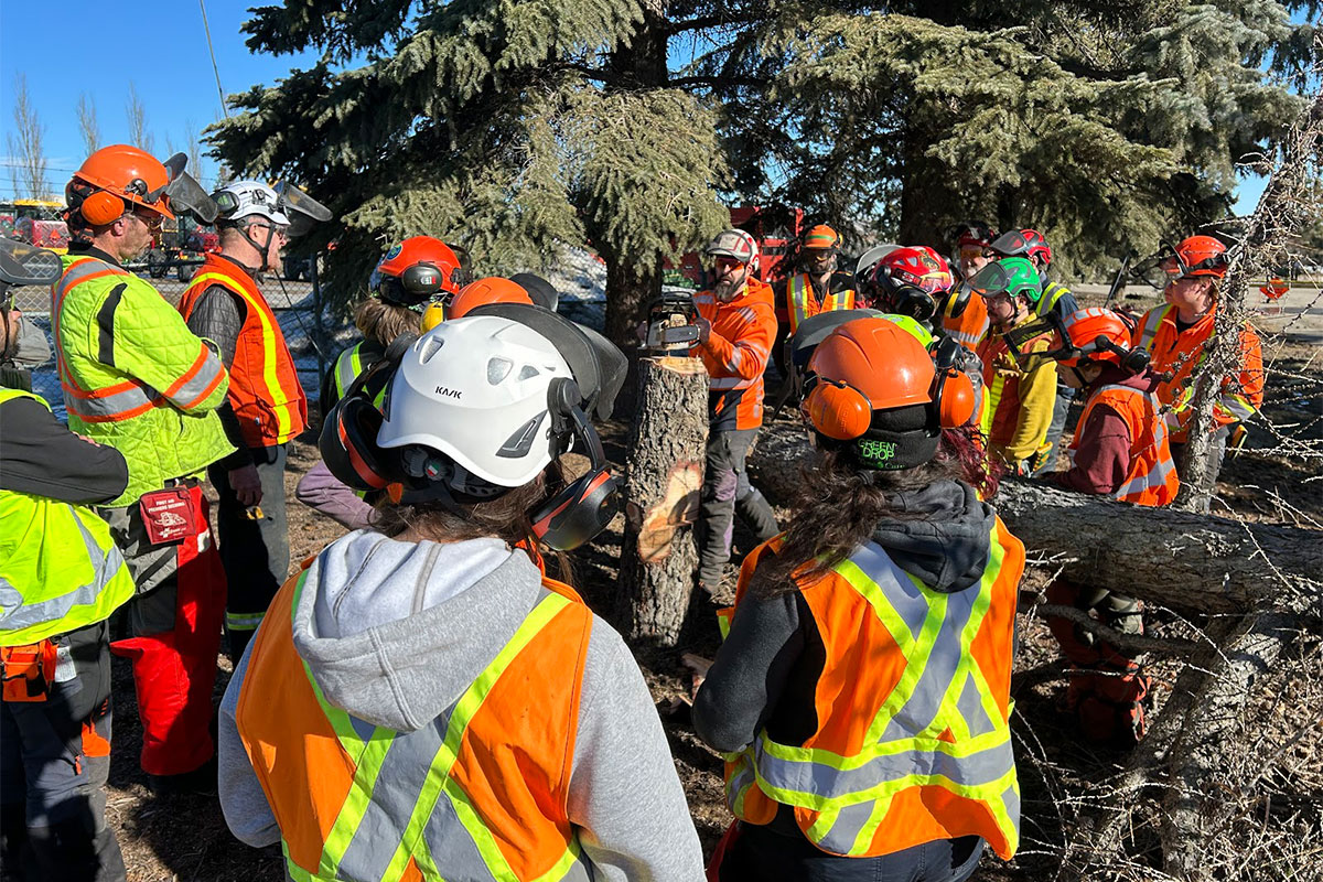 Climbing to New Heights: Empowering Women in Arboriculture 
