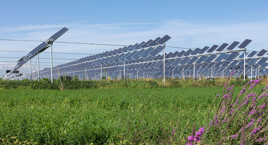 Sharing the Land with Solar Could Transform Farming