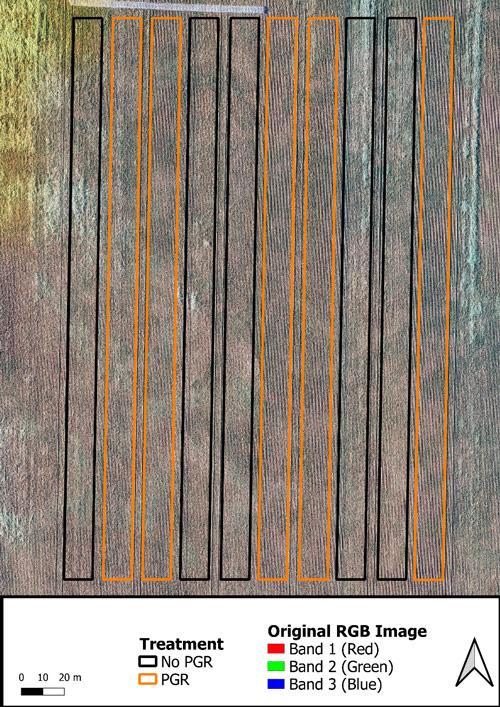 Figure 2. Drone mosaic and treatment layout from a Plant Growth Regulator (PGR) on-farm trial.