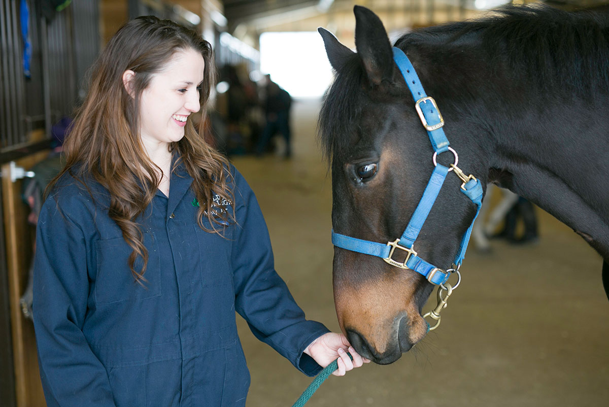 Olds College launches New Equine Care & Management Certificate