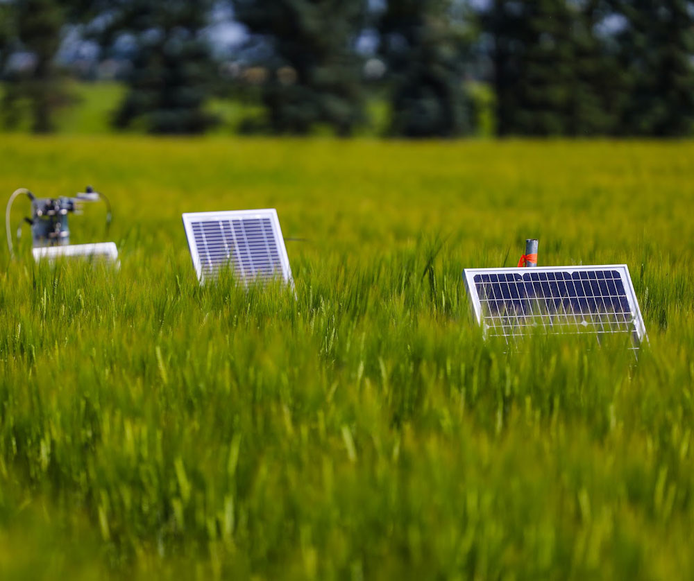 Field Sensors powered by solar on the Olds College Smart Farm