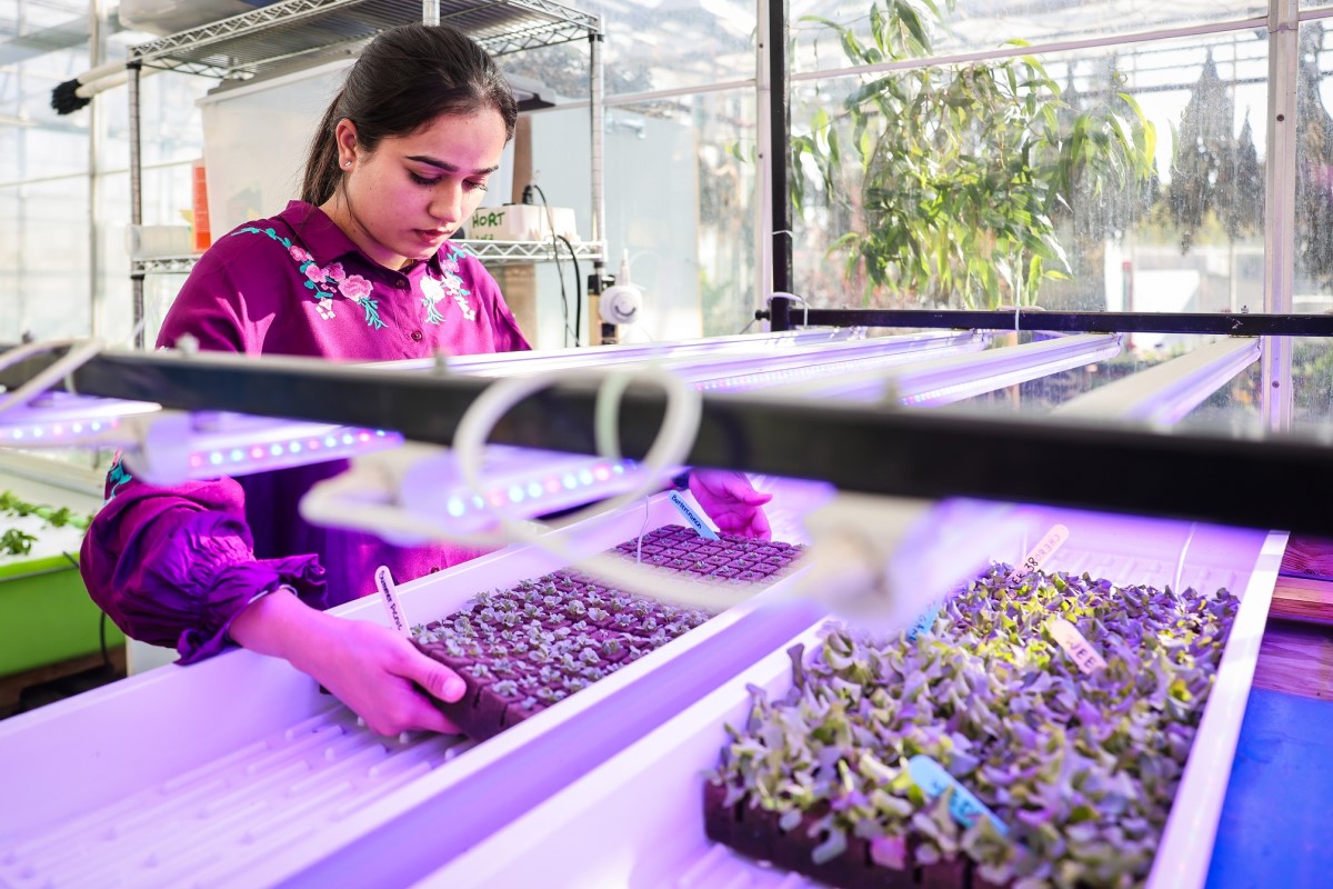 Olds College Launches New Indoor Agriculture Certificate