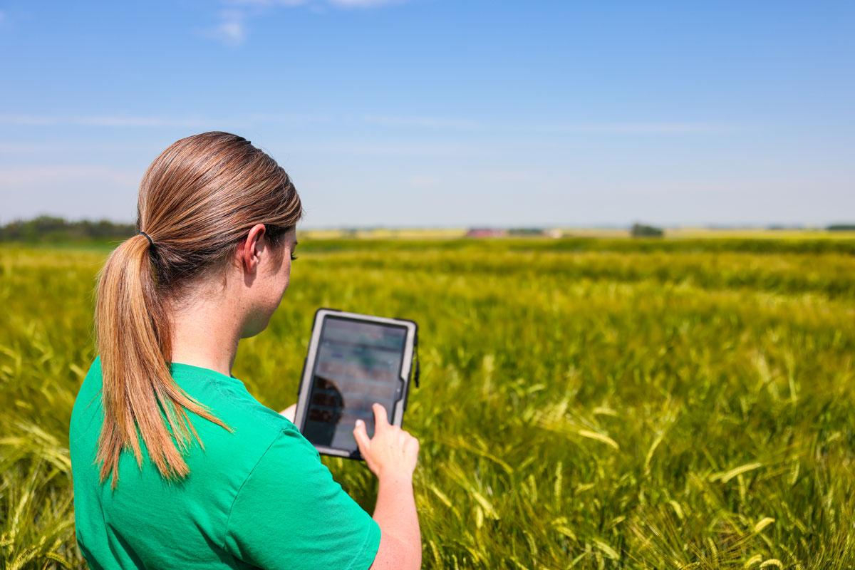 Manitoba Beef & Forage joins the Pan-Canadian Smart Farm Network