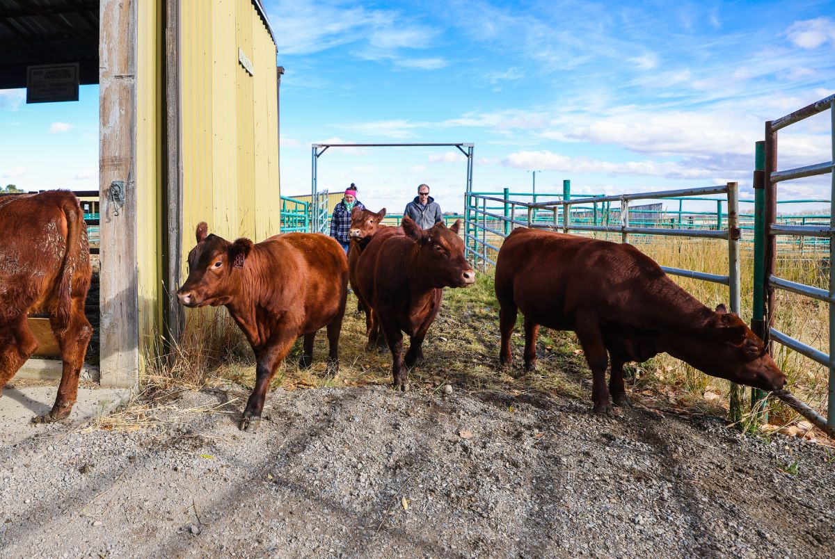 Olds College Announces USask LFCE joins Smart Farm Network