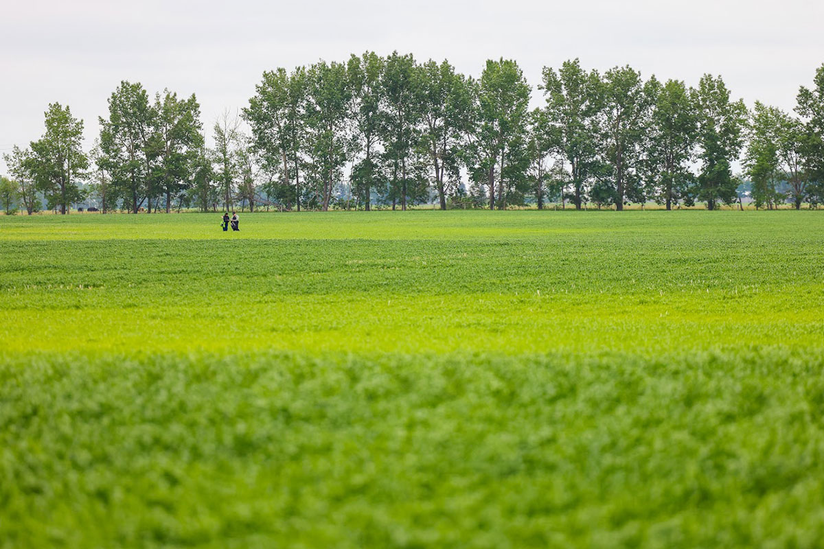 U.S. Tariffs Add Urgency to Clean Fuels Research