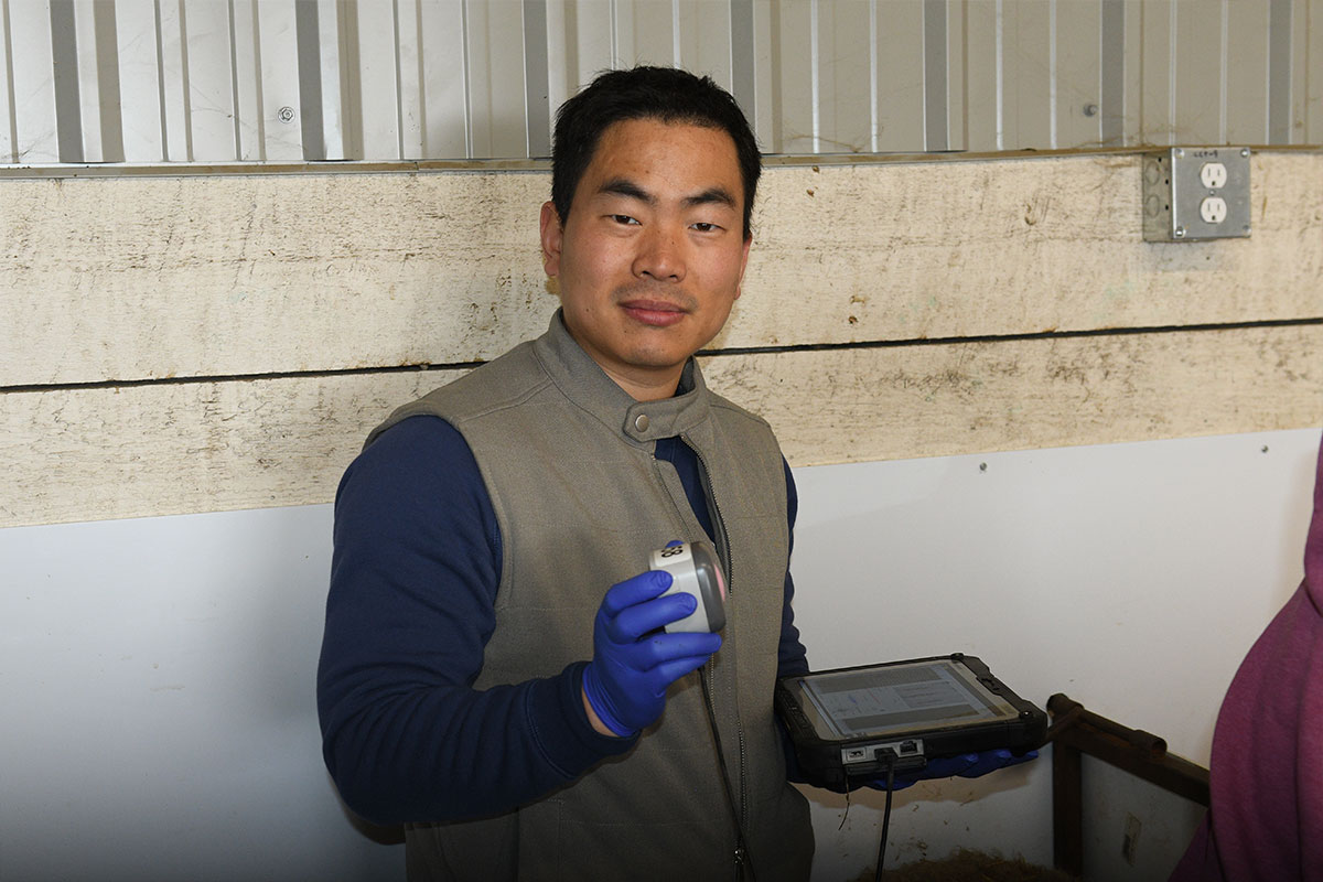 ‘Symphonies’ of Living Bodies Could Help Diagnose Diseases