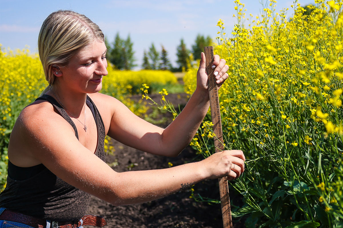 Bachelor of Applied Science Degree - Agribusiness