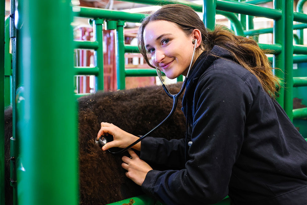 Veterinary Technology Diploma