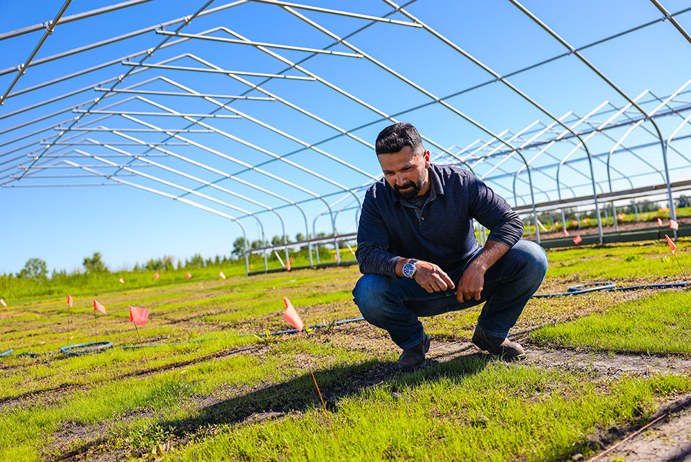 Bachelor of Applied Science - Golf Course Management