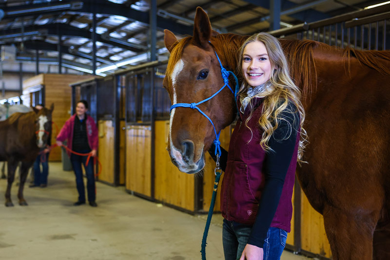 Equine Care and Management Certificate