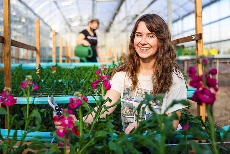 Horticulture Technologist Diploma