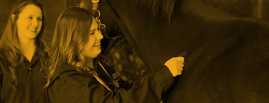 banner_coned_equinefirstaid.jpg