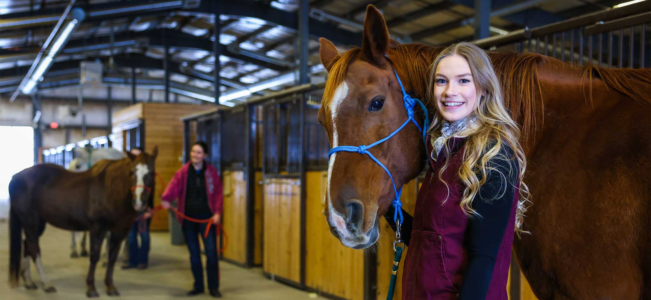 Equine Care