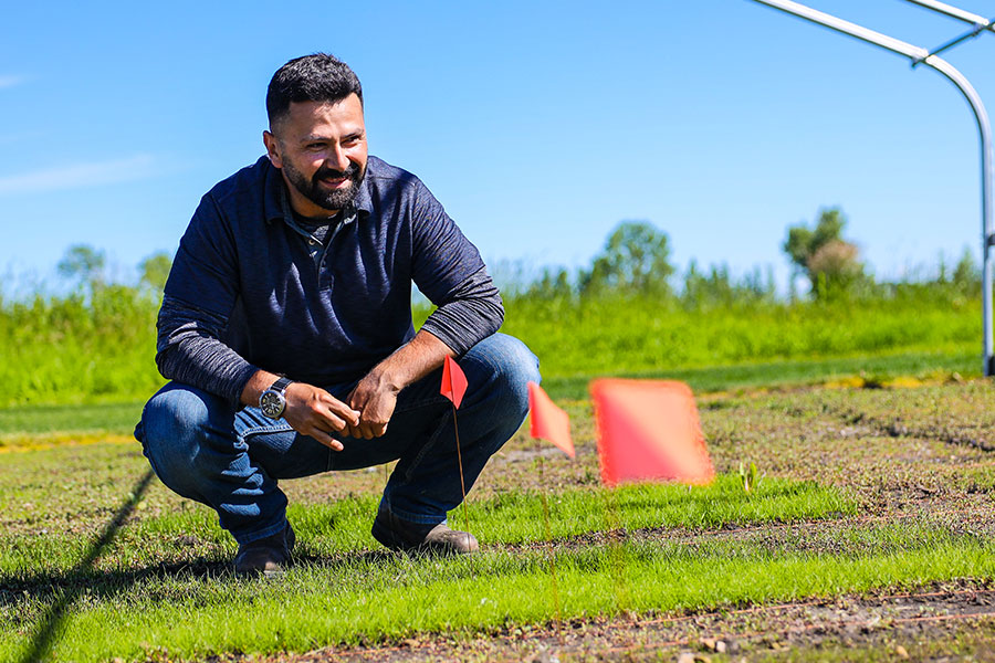 Man kneeling in front of a turf sample