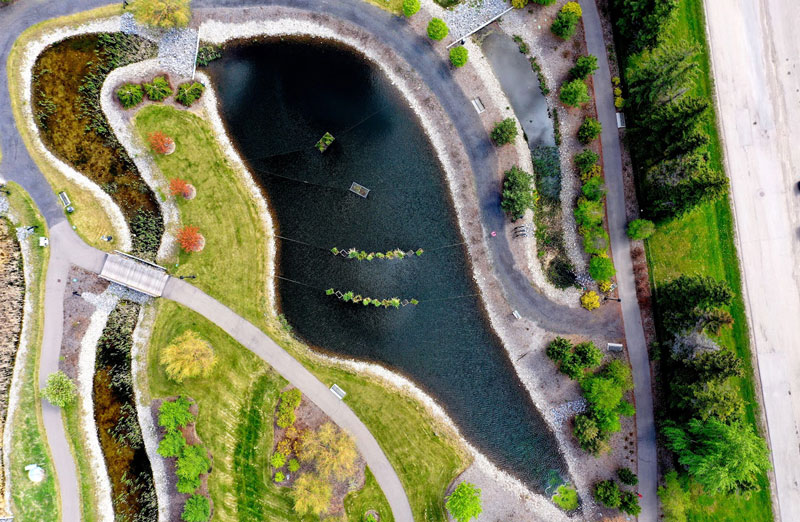 Floating Islands in the Constructed Wetlands