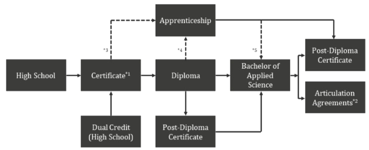 student-pathways.png