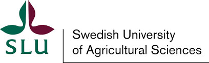 swedish-university.jpeg
