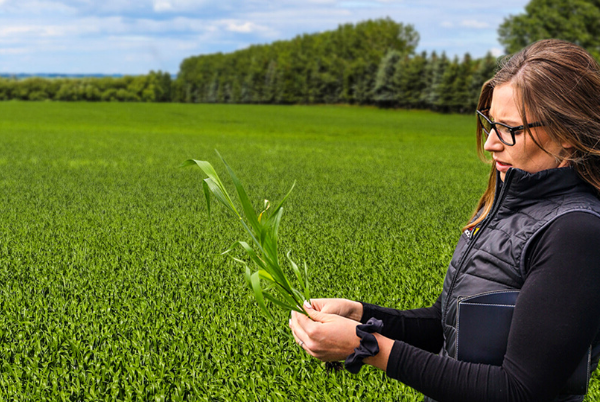 Olds College and TELUS Agriculture Partner to Offer Free Webinar