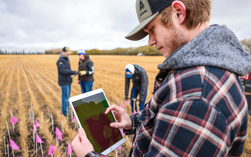 Leading the Way in Farming