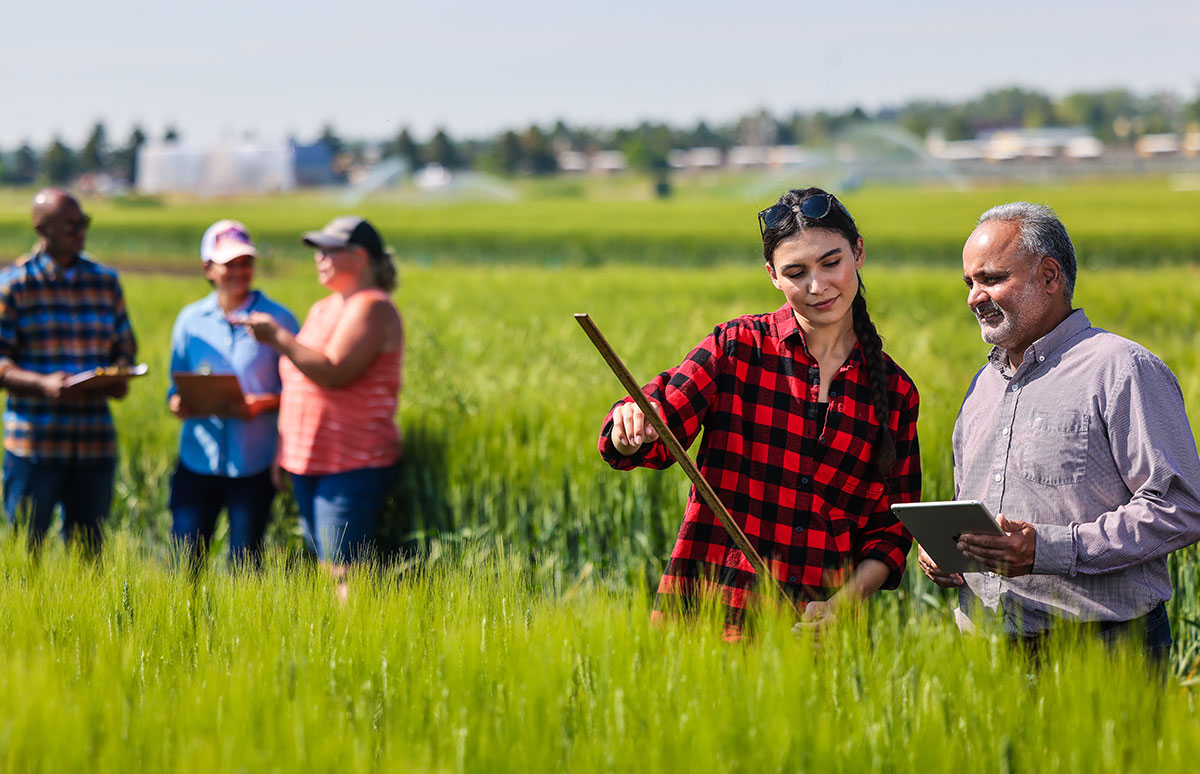 Taking field measurements